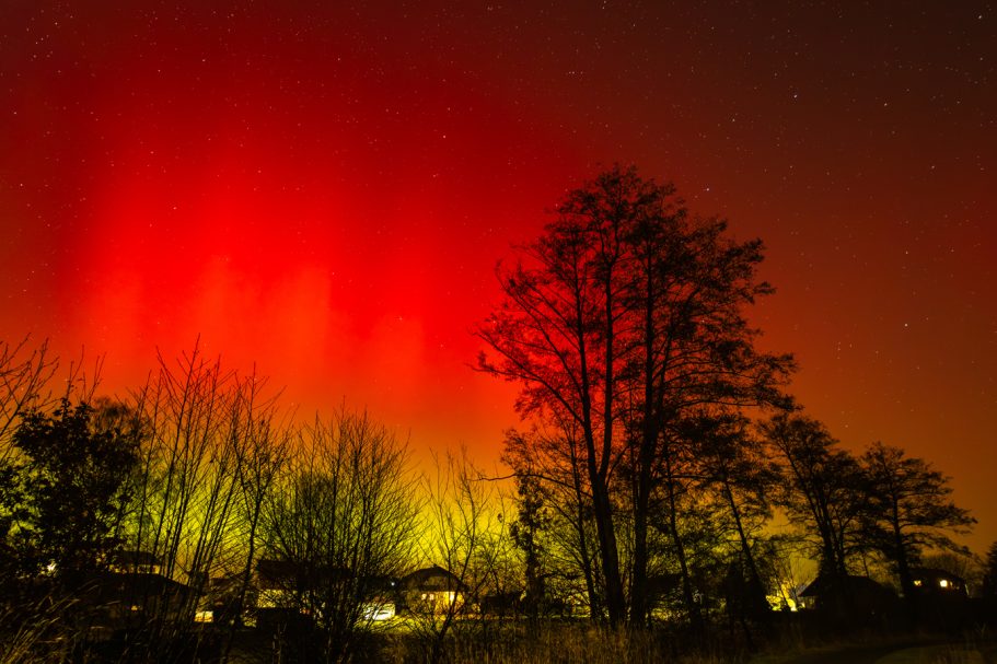 Roter und grüner Himmel hinter silhouettierten Bäumen, mystische Lichtstrahlen.