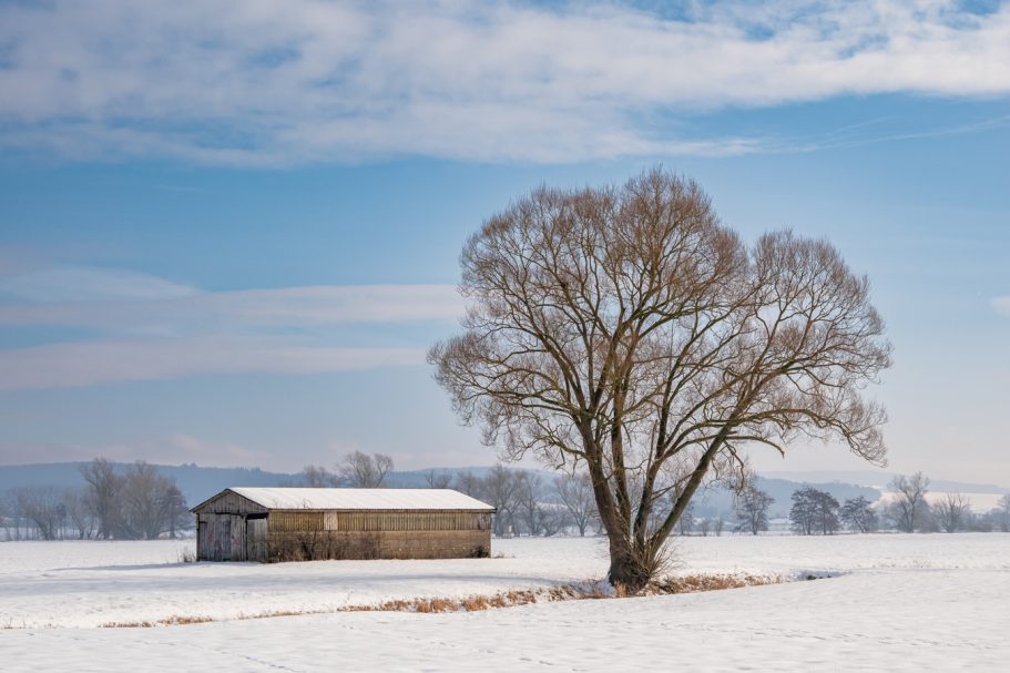 Ein einsames Holzgebäude steht in einer schneebedeckten Landschaft unter einem Baum.