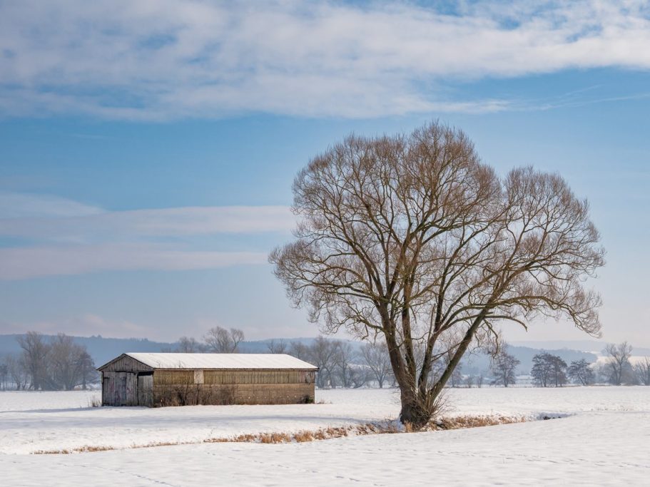 Ein einsames Holzhaus steht im Schnee, neben einem großen Baum unter einem blauen Himmel.