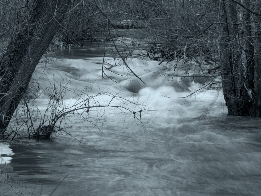 Ein bewegter Fluss fließt zwischen Bäumen in schwarz-weißer Darstellung.