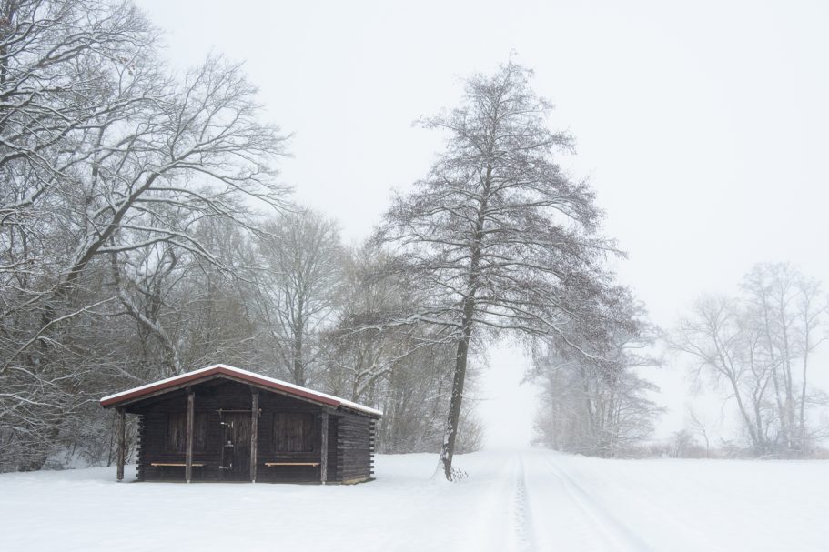 Eine verschneite Landschaft mit einem kleinen Holzgebäude und kahlen Bäumen.