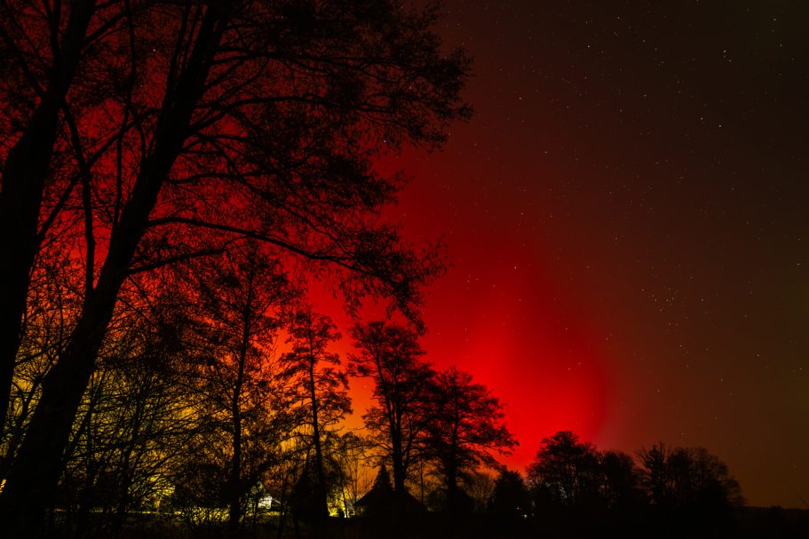 Nachtaufnahme mit leuchtenden roten und gelben Lichtern hinter silhouettierten Bäumen.