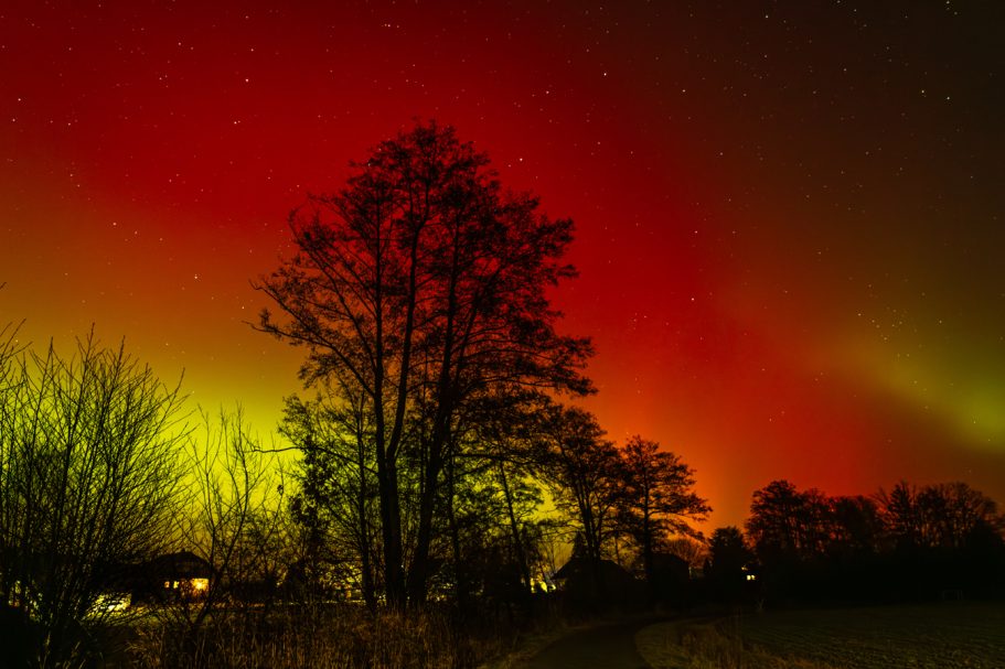 Landschaft mit Bäumen vor einem farbenfrohen, leuchtenden Nordlicht-Himmel.