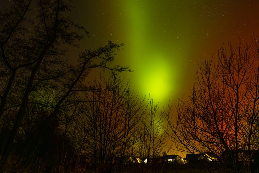 Grüne Polarlichter erhellen den Himmel über silhouettierter Landschaft und Bäumen.